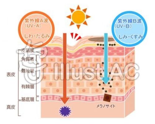 040E94F4-C0F7-4771-AC77-F1284B9245E7