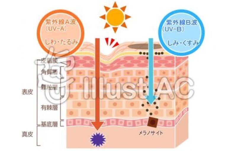 040E94F4-C0F7-4771-AC77-F1284B9245E7