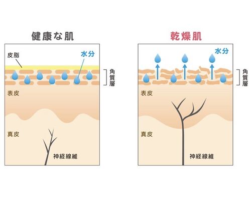 CE631D5A-1077-4AD9-A4D1-78C9D57715D1