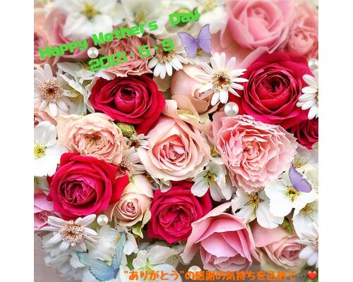 90FB5C66-E422-4E81-985D-2D80E53E4E12